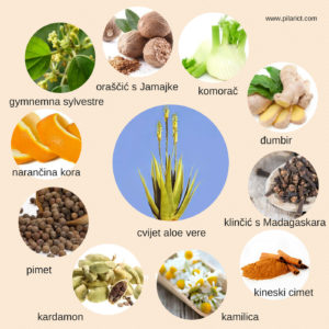 Aloe Blossom Herbal Tea